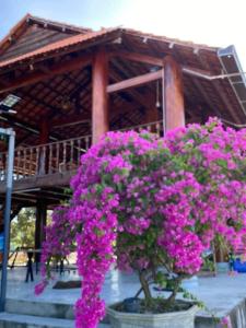 Κήπος έξω από το Dalis Waterfall Homestay +34 φωτογραφίες