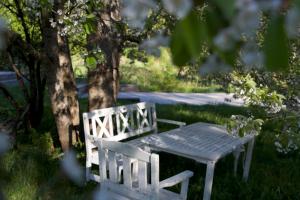 Zahrada ubytování Sevletunet B&B and Cabins
