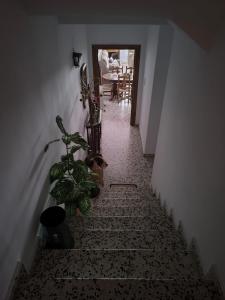 Billede fra billedgalleriet på Casita Adelita i Pitres