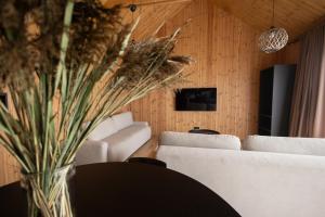 Televizorius ir (arba) pramogų centras apgyvendinimo įstaigoje Viesuli Village Villas
