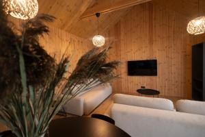 Televizorius ir (arba) pramogų centras apgyvendinimo įstaigoje Viesuli Village Villas