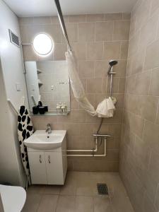 a bathroom with a sink and a shower at Comfort Cozy Studio Near Airport in Copenhagen
