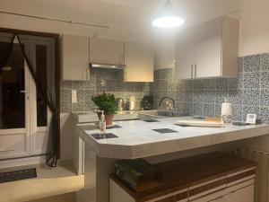 a kitchen with a sink and a counter top at Cévennes Bessegeoises in Bessèges