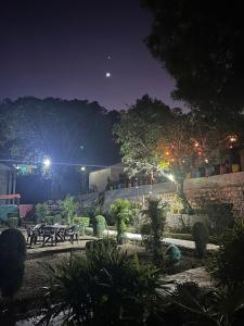 a garden at night with a table and trees at Shivalik HomeStay & BayleafCafe in Nainital