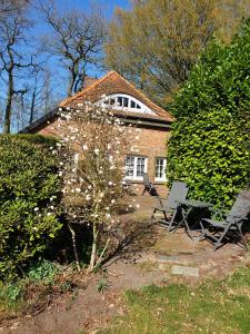 Zahrada ubytování Ferienwohnung Gartenblick