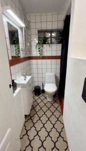 a bathroom with a toilet and a sink at Spirit Gästis in Ekeby +13 photos