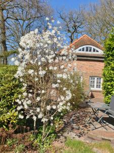 Zahrada ubytování Ferienwohnung Gartenblick + 16 fotografií