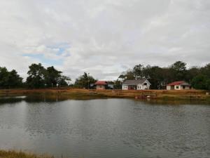 a large lake with houses in the background at Homestay D'kolam in Pendang