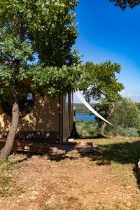 Zahrada ubytování Glamping Stregaia