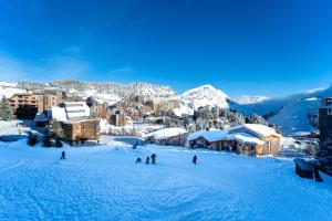 Chalet Neva - luxury chalet with sauna by Avoriaz Chalets v zimě