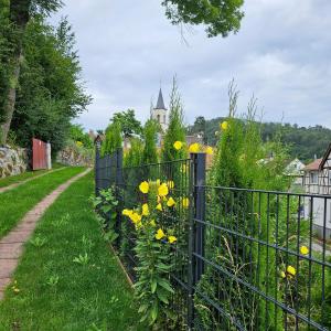 a fence in a garden with yellow flowers at Villa Christina in Lindenfels +22 photos