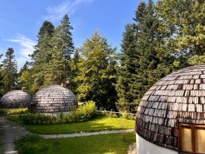 a group of domes in a garden with trees at GRASÓWKA in Werlas