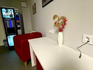TV a/nebo společenská místnost v ubytování Central Hostel Jelgava
