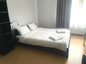 Postel nebo postele na pokoji v ubytování Central Hostel Jelgava