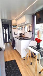 Houseboat Seabreeze的厨房或小厨房