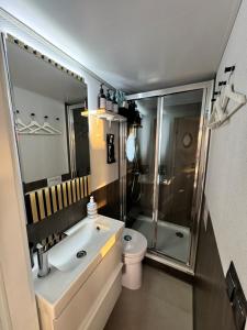 阿尔盖罗Houseboat Seabreeze的带水槽、马桶和淋浴的浴室