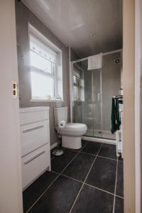 un baño con inodoro y ducha en Ferlas Bed and Breakfast, en Penrhyndeudreath