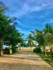 Billede fra billedgalleriet på Aqua Marine Beach Hotel i Kalkudah + 28 billeder