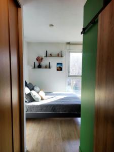 ein Schlafzimmer mit einem Bett und einem Fenster in der Unterkunft Hesperie studio in Chamalières