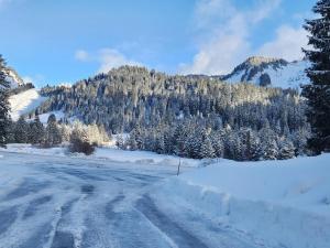 Gallery image of Couleurs des Alpes Au pied des pistes de Sommand Praz de Lys in Sommand