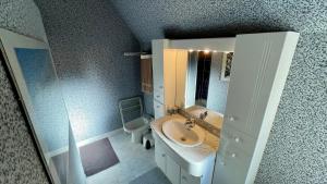 Un baño con lavabo, inodoro y espejo. en Le Joli Cèdre 8pers Le Mont Dore, en Le Mont-Dore