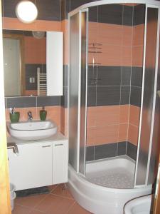 a bathroom with a shower and a sink at Horec Apartment 2 in Donovaly