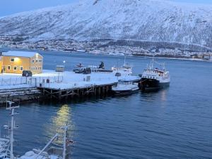 a group of boats docked at a dock in the water at Norwegian Fjord Explorer Line in Tromsø +55 photos