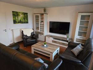 TV a/nebo společenská místnost v ubytování Ferienhaus am Heeder See