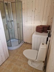 Un baño con inodoro y ducha de cristal. en Mellomgaard - southern-Kvaløya, en Tromsø