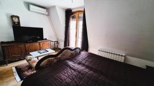 a bedroom with a bed and a tv and a couch at Sunset Apartmani in Vršac