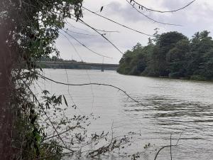 a view of a river with a bridge in the background at Rustic Campsite Kalutara South in Kalutara +2 photos