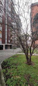 a tree in the grass in front of a building at Michele Flat - Parcheggio - 10 min da Milano Centro in Milan