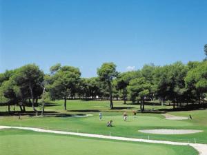 a group of people playing golf in a park at Kilians apartment 2 in Castellón de la Plana
