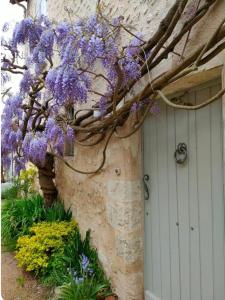 a wreath of purple flowers hanging from a building at Le Galet in Saint-Dyé-sur-Loire