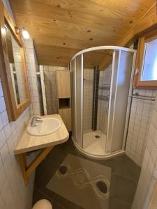 a small bathroom with a shower and a sink at Chalet Le Castor : dans le centre de Chatel in Châtel