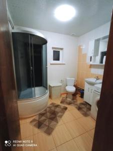 a bathroom with a large shower and a toilet at Котедж Тиша in Rivnya