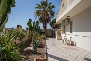 a patio with a palm tree and a house at Casa Cycas in Santa Maria Del Focallo