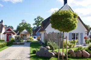 a house with a tree in the front yard at Ferienhaus Poolhaus in Glowe