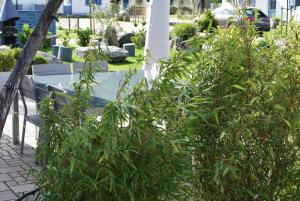 a group of plants on a patio with a chair at Ferienhaus Poolhaus in Glowe
