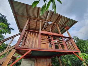 a tree house built on top of a building at Digrú Spaa in Pejibaye +10 photos