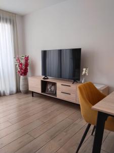 洛斯阿尔卡萨雷斯Santa Rosalia Lake & Life Resort Jacuzzi penthouse Golf的客厅里有一台平板电视和娱乐中心