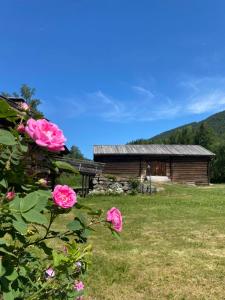 Příroda nedaleko bed and breakfast
