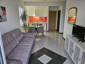 Posezení v ubytování Apartments Andrijanić