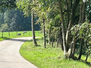 a road with trees and animals in a field at Natur pur Amelie in Kraiburg am Inn +1 photo