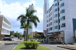 a palm tree in the middle of a city street at Discovery in Panama City