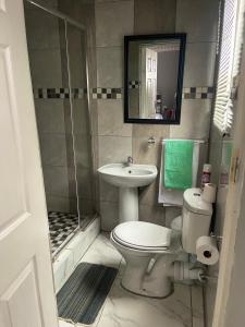 a bathroom with a toilet and a sink and a shower at Destiny B&B in Queenstown +26 photos
