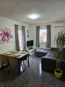 TV a/nebo společenská místnost v ubytování Apartments Andrijanić