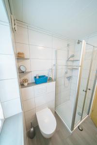 a bathroom with a toilet and a shower at Am Priel 20 EG in Otterndorf