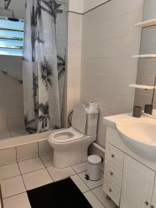 un bagno con un water e una tenda da doccia di Studio Saint Gilles les Bains a Saint-Gilles-les Bains