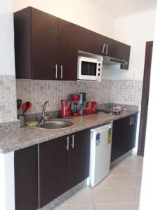 eine Küche mit Spüle und Mikrowelle in der Unterkunft appart hotel cabo dream in Laʼzîb